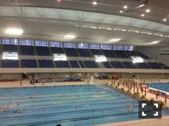 日本都市水泳部大会結果報告。